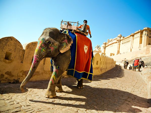 Elephant ride to the fort