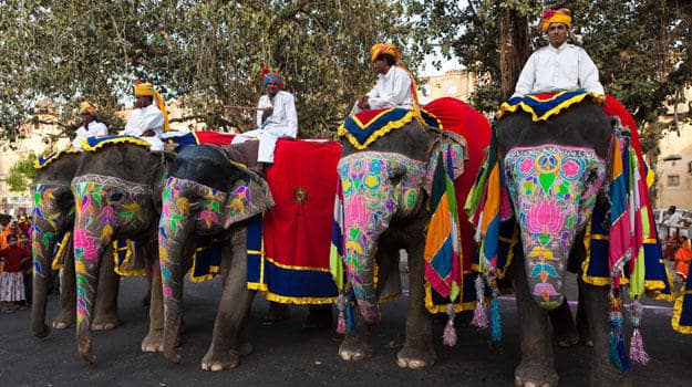 Elephant Festival Tour 